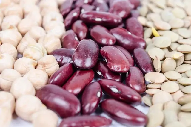 Garbanzo beans, kidney beans, and lentils