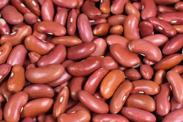 Red kidney beans, a popular chili ingredient