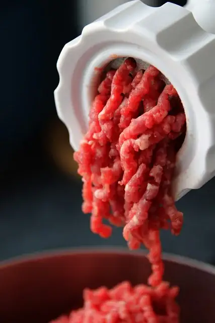 Ground beef coming out of a grinder